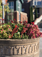 Load image into Gallery viewer, Garden Girl NC Gift Card Garden Girl NC