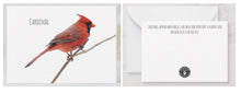 Load image into Gallery viewer, Notecard - The meaning of a Cardinal Cards Garden Girl NC