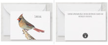 Load image into Gallery viewer, Notecard - The meaning of a Cardinal (Lady/Female) Cards Garden Girl NC