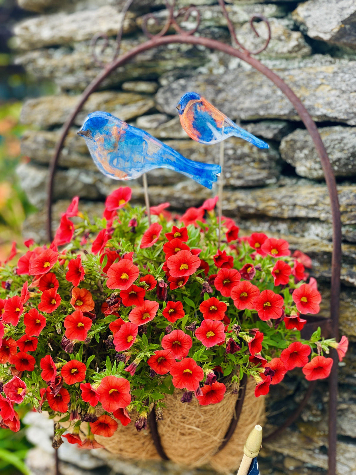 Bluebirds