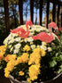 Two resin flamingos on sticks in white and yellow mums