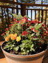 Two resin hummingbirds on sticks in red mums