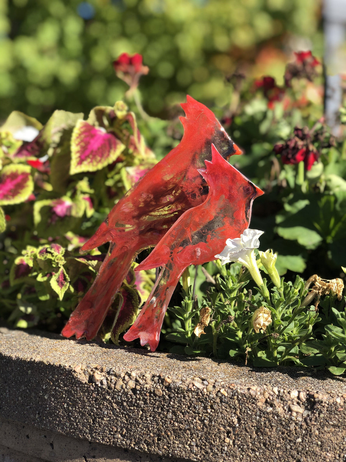 Large Cardinal - Bird on a Stick Birds on a Stick Garden Girl NC 
