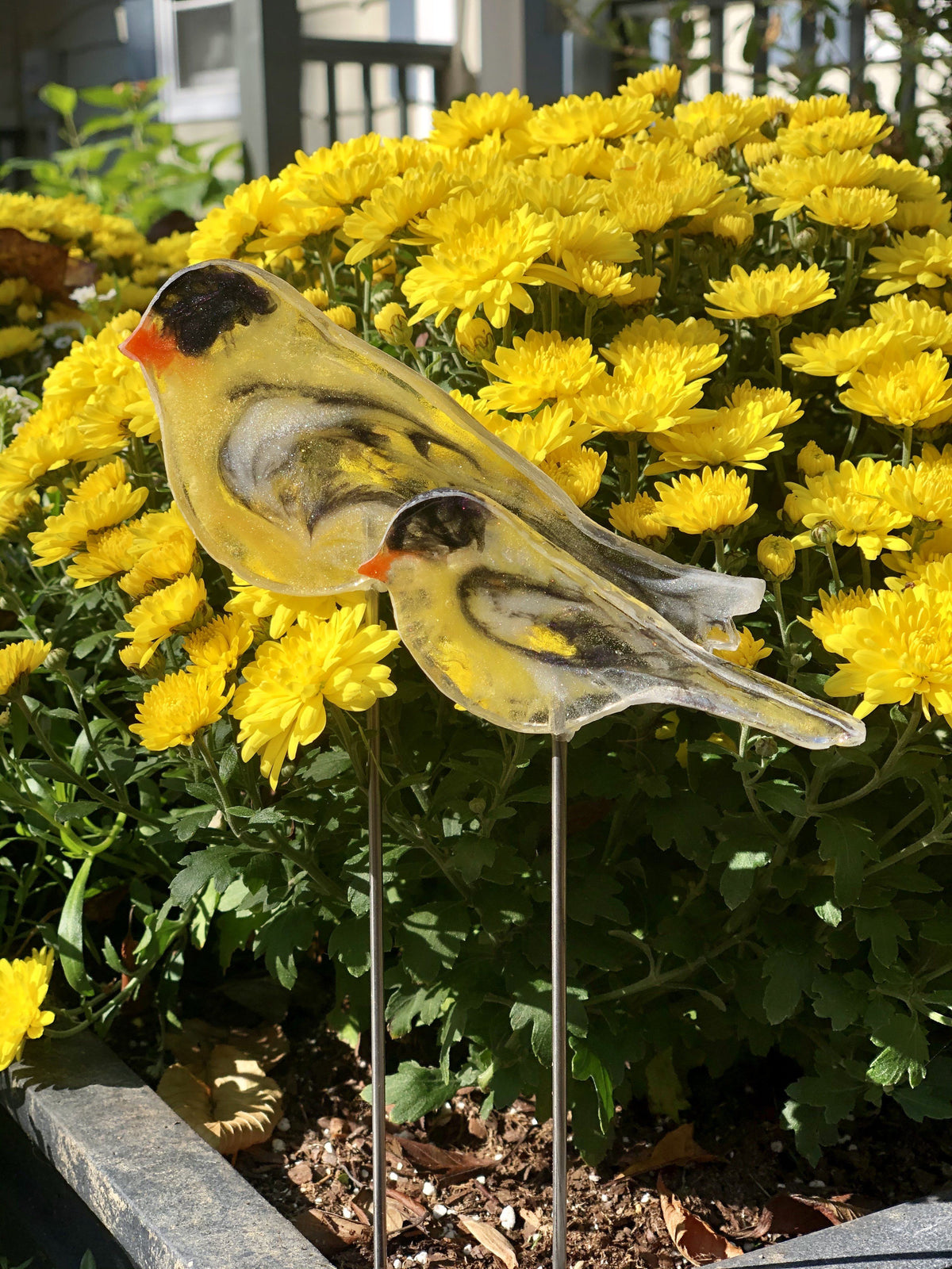 Large Goldfinch - Bird on a Stick Birds on a Stick Garden Girl NC 
