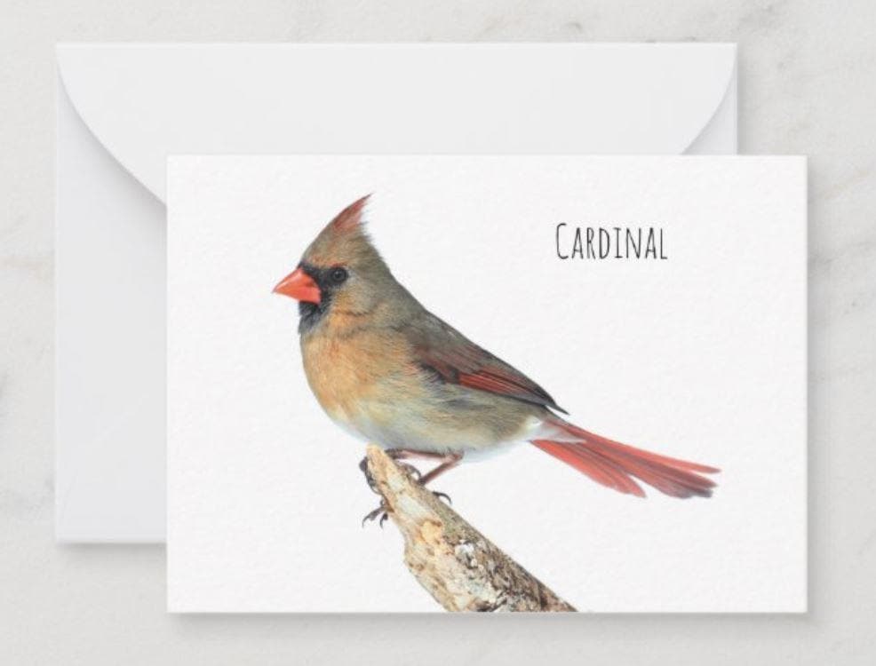 Notecard - The meaning of a Cardinal (Female) Cards Garden Girl NC 