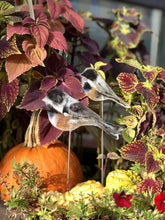 Load image into Gallery viewer, Small Chickadee - Bird on a Stick Birds on a Stick Garden Girl NC 
