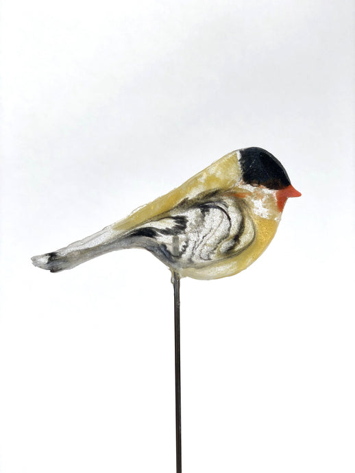 Small Goldfinch - Bird on a Stick Birds on a Stick Garden Girl NC 